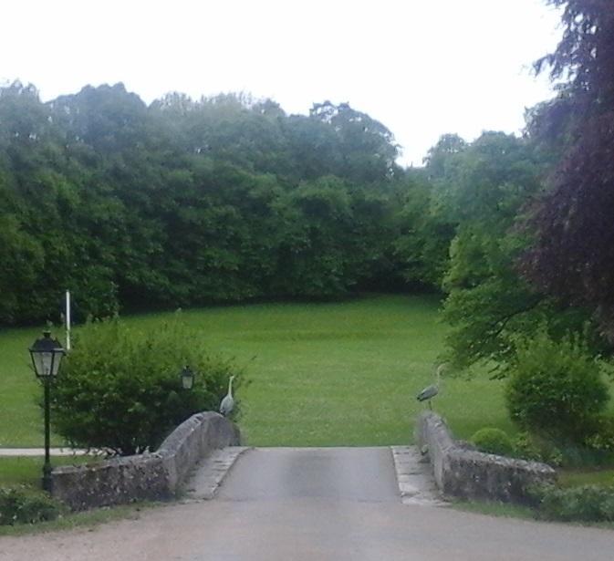 Chateau D'Esclimont Saint-Symphorien-le-Chateau Eksteriør bilde